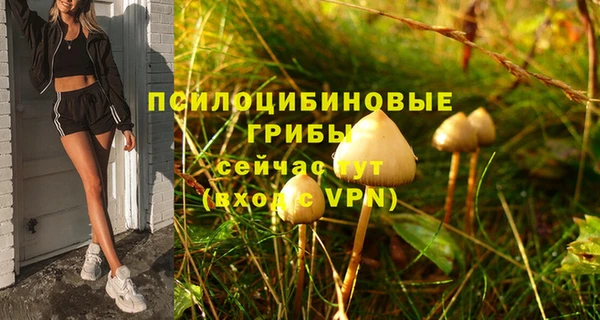 экстази Гусь-Хрустальный